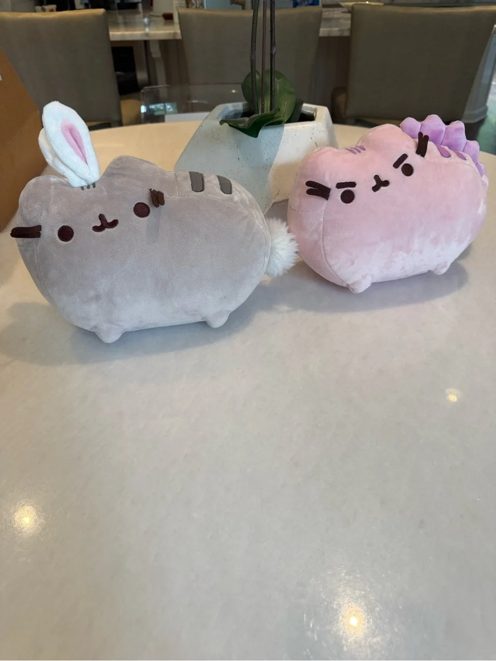 Plush Bunny-Ear and Pink Decorative Pusheen Pair